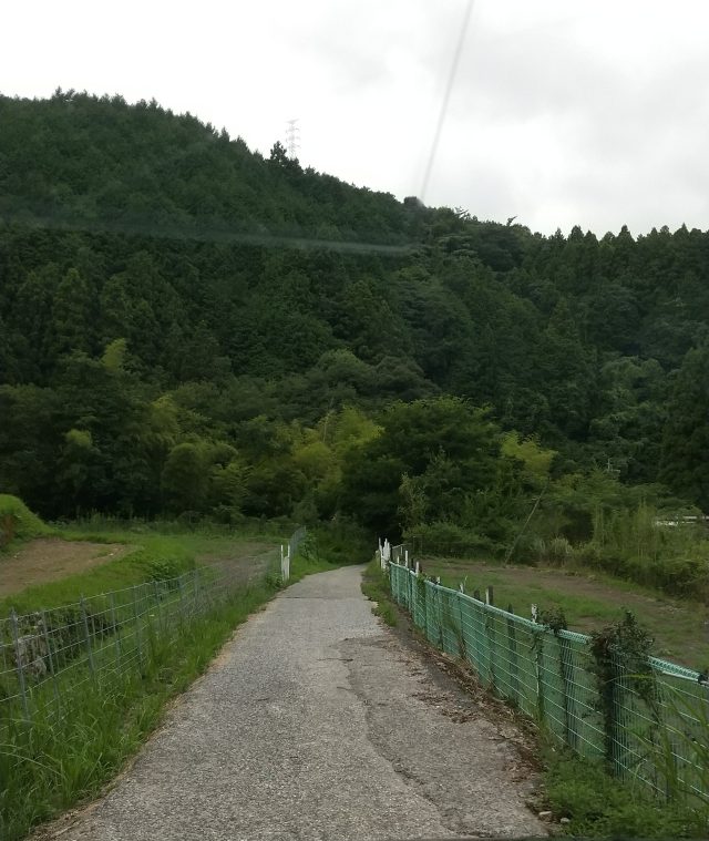 国道263号線から花乱の滝への道