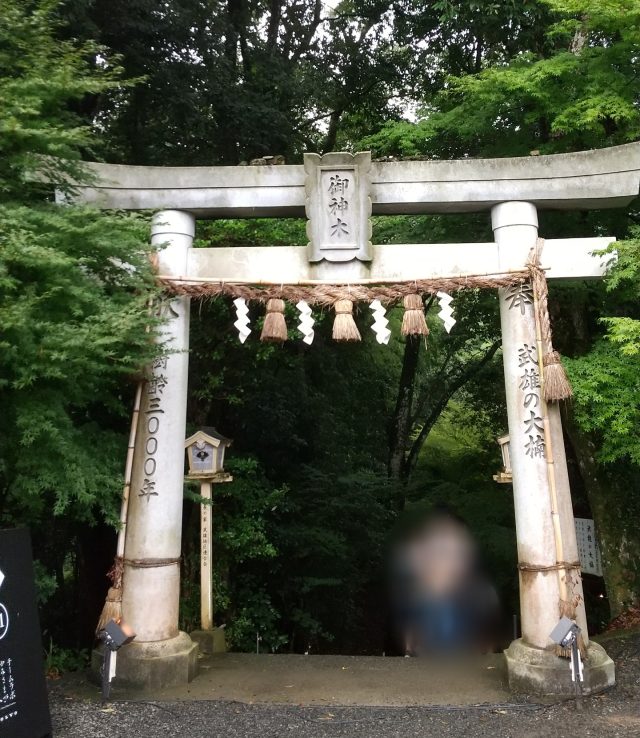 武雄神社　本殿左側　大楠への入口