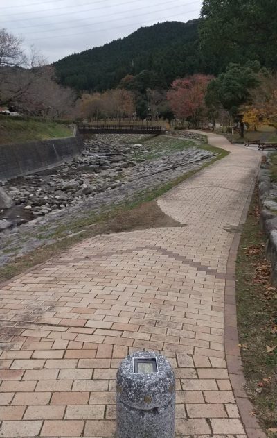 大根地山 登山ルート