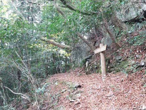 大根地山 登山ルート