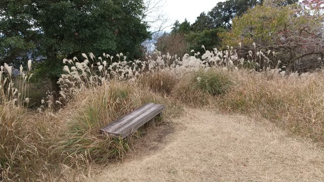 大根地山 山頂のベンチ