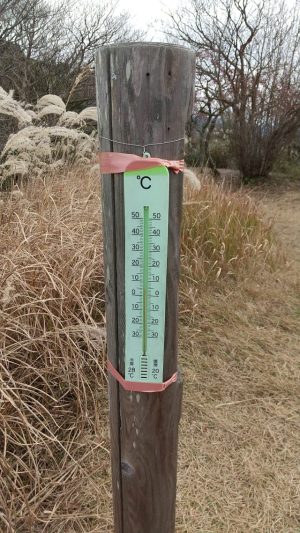 大根地山 山頂の温度計