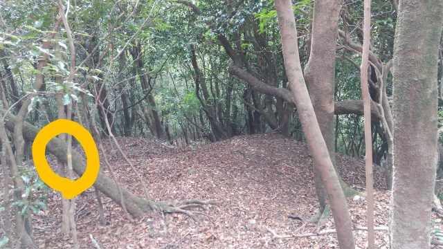 大根地山　険しいルート入口