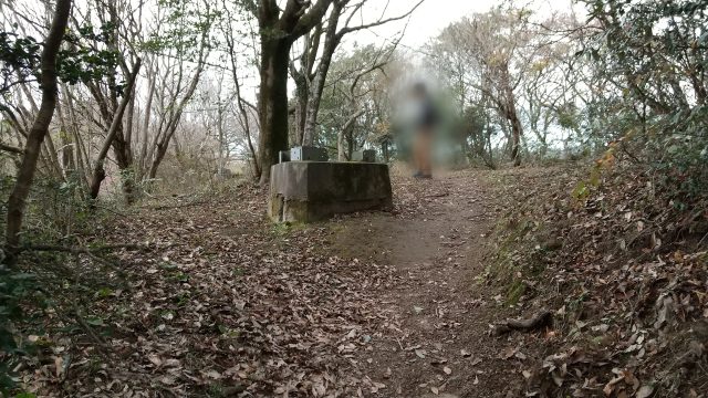 大根地山 山頂手前の広場