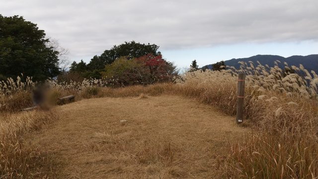 大根地山 山頂