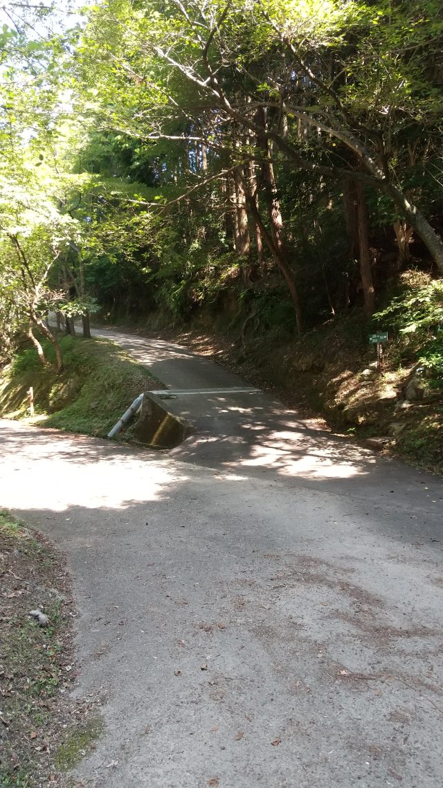 若杉山 登山 分岐1