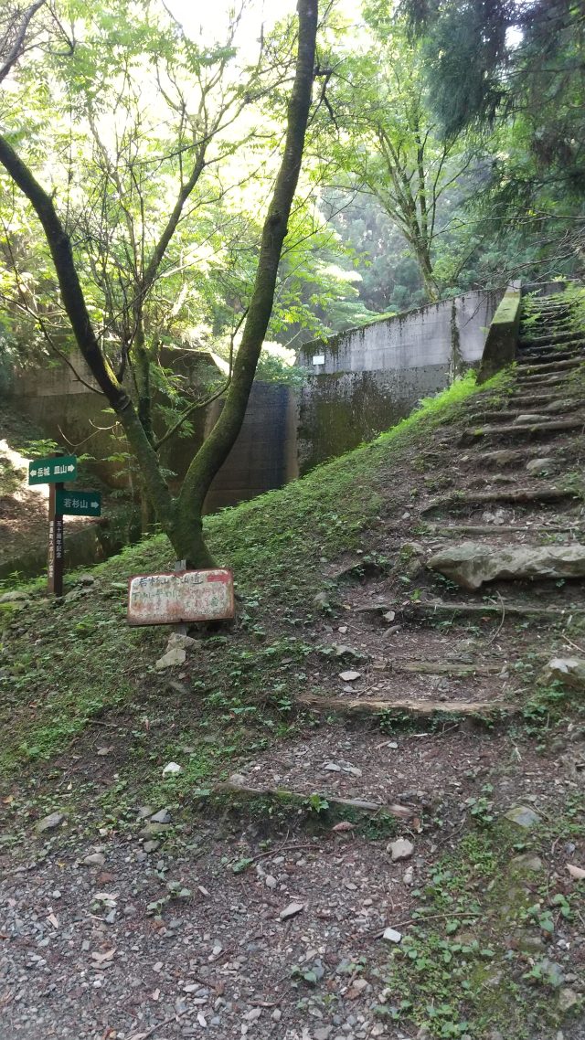 若杉山 登山ルート 分岐2