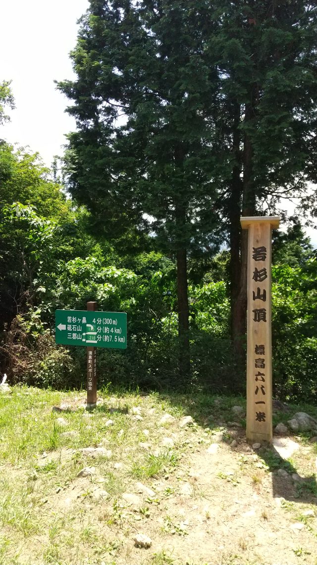 若杉山 山頂