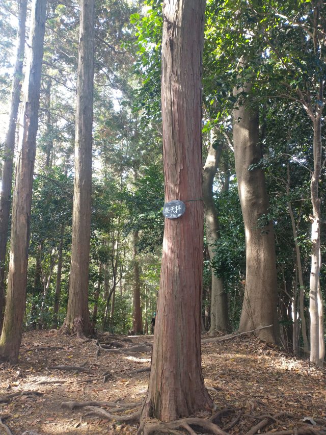 福岡 天拝山 奥天拝