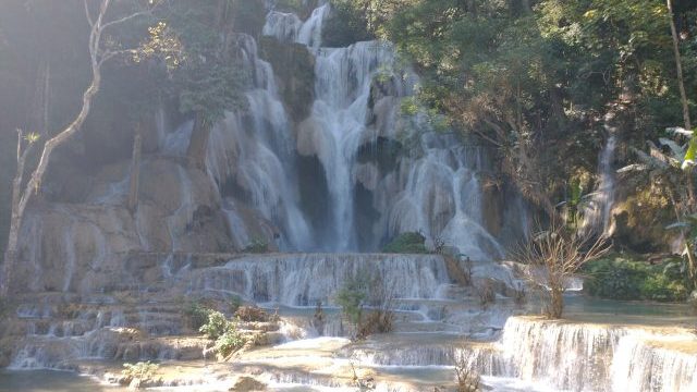 ラオス ルアンパバーン クアンシーの滝・象使い体験ツアー クアンシーの滝
