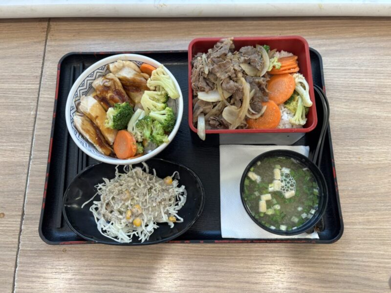 モンゴルウランバートル吉野家「鶏の照り焼き丼」「焼肉丼」