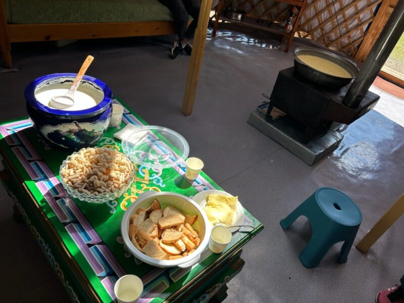 遊牧民の家庭訪問でふるまってもらった乳製品（ヨーグルト、アーロール（乾燥チーズ）、ウルム（乳脂肪食））