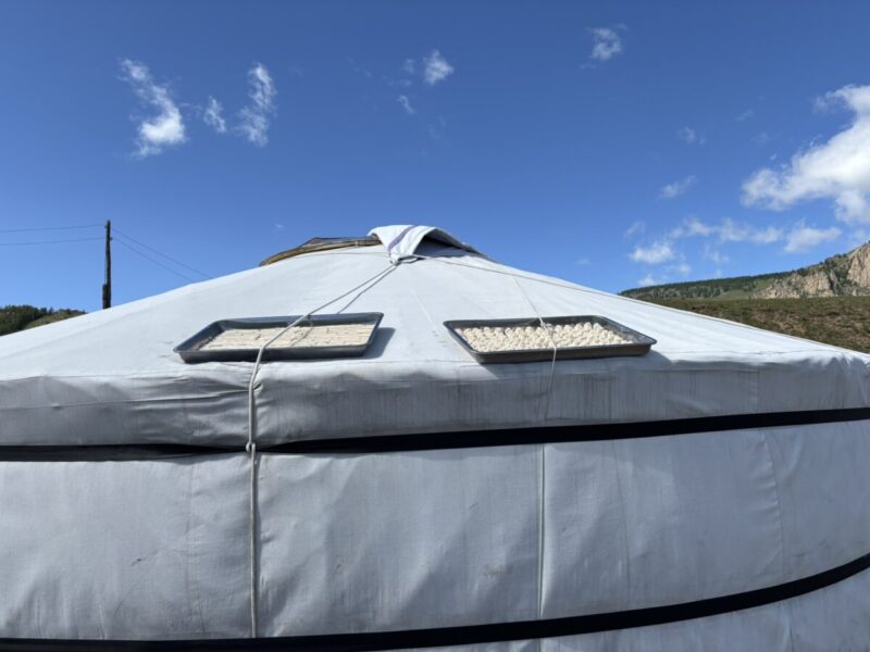 遊牧民の家庭訪問　アーロールの天日干し